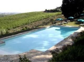Agriturismo Bio Fattoria Bacio Certaldo Kültér fotó