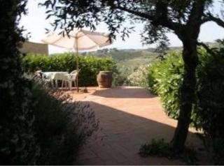 Agriturismo Bio Fattoria Bacio Certaldo Kültér fotó