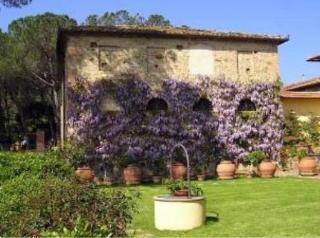 Agriturismo Bio Fattoria Bacio Certaldo Kültér fotó